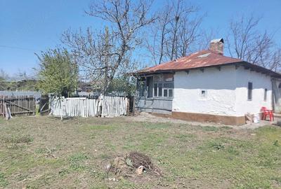 Casă cu 3 camere cu Teren 1250 Mp în Glodeanu-Siliștea - 4