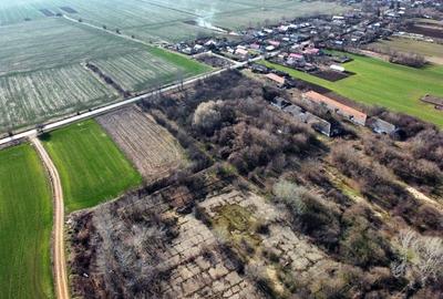 Ferma si livada de meri in judetul Ilfov - 4