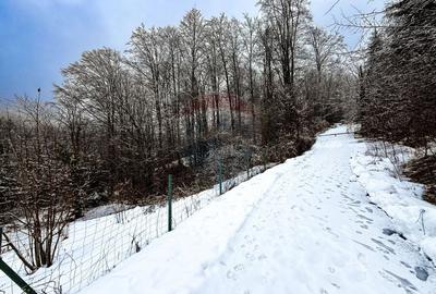 Teren Construcții intravilan de 1794 mp, în Moroeni - 6