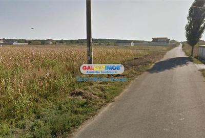 Teren 700 mp Snagov Ciofliceni la str Stefan cel Mare - 1