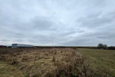 Teren 28 ari, drum principal - 9