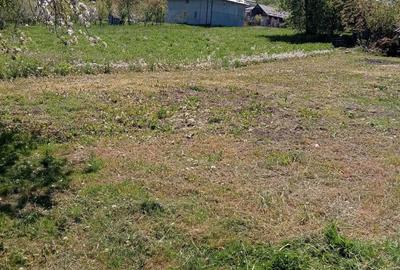 Casă cu 2 camere în Pălatca - 2