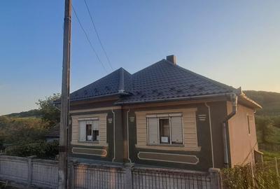 Casa de vanzare Rusu de Sus - 2