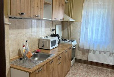 Simion Barnutiu-lângă Hotel Streliția Simion Barnutiu-lângă Hotel Streliția - 9