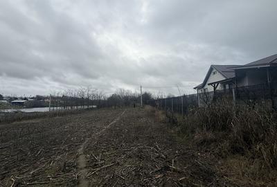 Teren de 2000 mp, în Ileana - 4