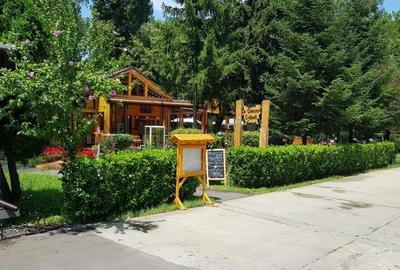 Spatiu  comercial -Parc Herastrau - 3