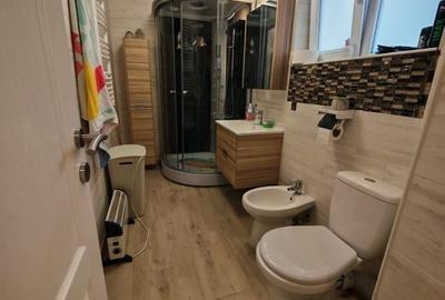 Casa 6 camere 165mp + 160m curte liber Piata Sudului, Obregia, Berceni - 18