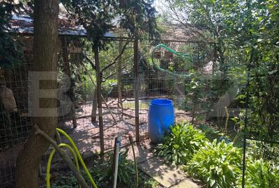 Casa, stil clasic, ultracentral – Teren 1344 mp - 8