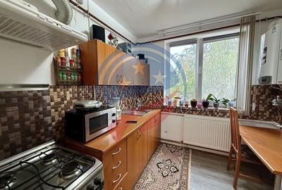 Apartament 2 camere/de vanzare/Calea Severinului - 8