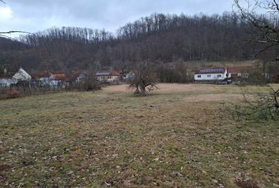 Teren de 3140 mp, în Petriș - 2