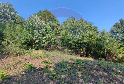 Teren Construcții intravilan de 756 mp, în Valea Roșie - 2