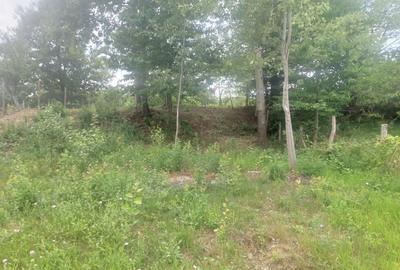 Spațiu comercial, în Curtea de Argeș - 4