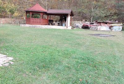 Casă cu 3 camere cu Teren 2000 Mp în Toplița - 9