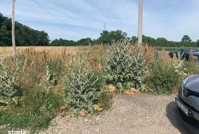 Proprietar vand teren langa Domnesti la Bucsani la padure - 3