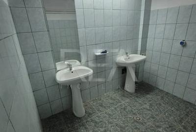 Hala industriala 3600 mp SECTOR 3 Oxigenului - 13