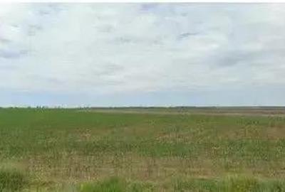 Teren extravilan Pogoanele, ID: R2586845 - 2