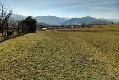 Spațiu comercial, în Rășinari - 7