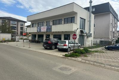 Spațiu comercial, de 220 mp, în Valea Lupului - 2