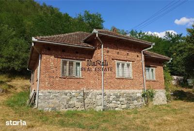 Casă cu 4 camere cu Teren 9563 Mp în Ribița - 6