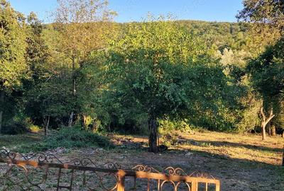 Casă cu 3 camere în Căpruța - 6