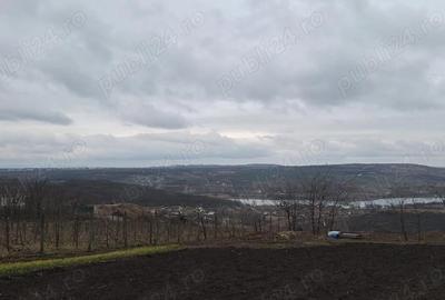 Teren Aroneanu 1000mp - 2