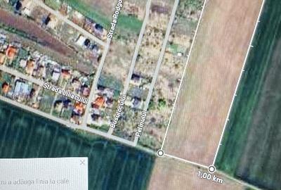 Teren intravilan Dascalu , 18000 m /17€ m2 - 6