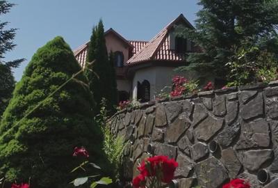 Vila de vanzare in Campina - Lunca Mare, teren 16500 MP - 4