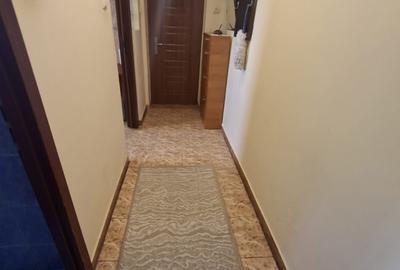 Apartament cu 2 camere semidecomandat, mobilat în Podu Roș - 6