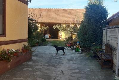 Casă cu 4 camere în Hitiaș - 4
