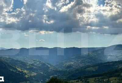 Teren de 17278 mp, în Horea