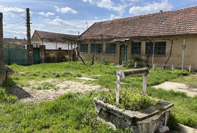 Teren Intravilan, Casa + Gradina, 2000 mp - Cheresig, Comuna Toboliu Teren Intravilan, Casa + Gradina, 2000 mp - Cheresig, Comuna Toboliu - 6