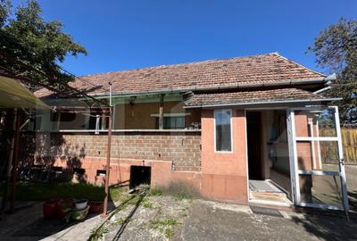 Casa saseasca de vanzare, curte, gradina, teren 3000 mp - Ji Casa saseasca de vanzare, curte, gradina, teren 3000 mp - Ji - 6