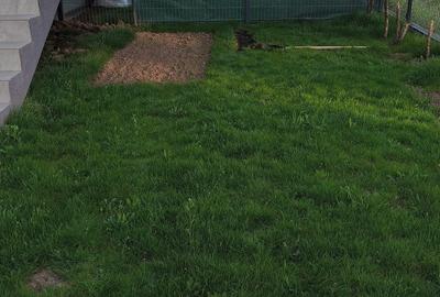 Apartament cu 2 camere decomandat în Dobroești - 4