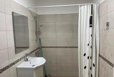 Garsonieră în Brazda lui Novac - 10