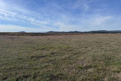 Teren de vanzare in Harman 4,4 Hectare - 10