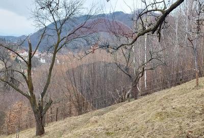 Teren Construcții intravilan de 2710 mp, în Schei - 9