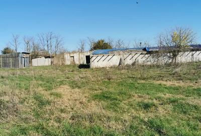 Casă cu 3 camere în Țepeș Vodă - 1