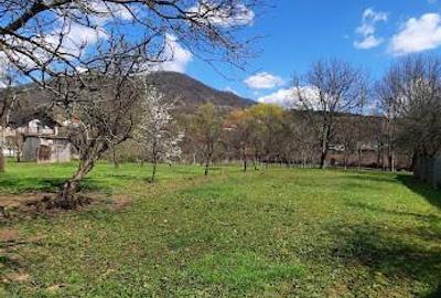 Str. Aurel Vlaicu (Valea Borcutului) - teren intravilan, 20 ari - 2