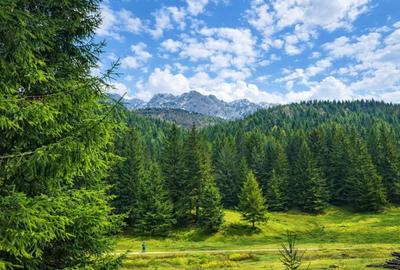 Teren în Zărnești - 3