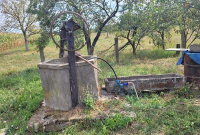 Casă în Topa de Criș - 8