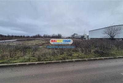 Teren intravilan de 4785 mp, în Băneasa - 5