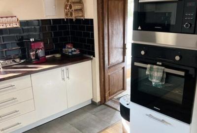 Cabana cu 4 dormitoare, foisor, ciubar, Statiunea Muntele Ba - 27