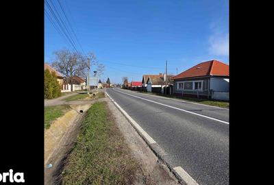Casă cu 3 camere cu Teren 4041 Mp în Roșiori - 9