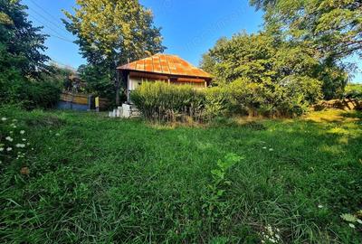 Teren Intravilan 3250 mp / Casa batraneasca / Pausesti Maglasi - 1