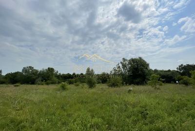 Teren intravilan***1439 mp***Cretesti-Vidra-Ilfov - 12