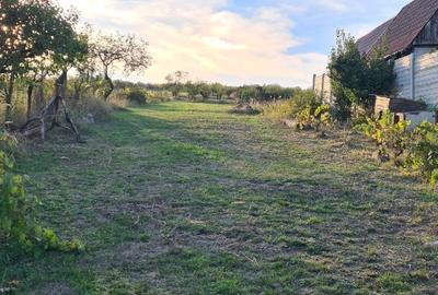 Casă individuală cu 2 camere cu Teren 1500 Mp în Paleu - 6