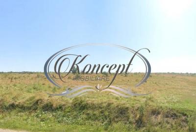 Teren intravilan in Salicea - 4