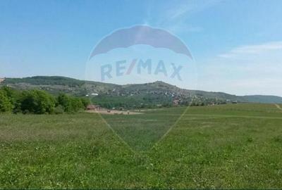 Teren de vanzare in Salicea, 3000 MP
