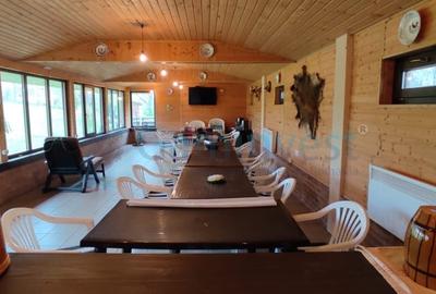 Cabană în zonă montană, Bihor, oportunitate de investiție,Gaminvest, V3155B - 16