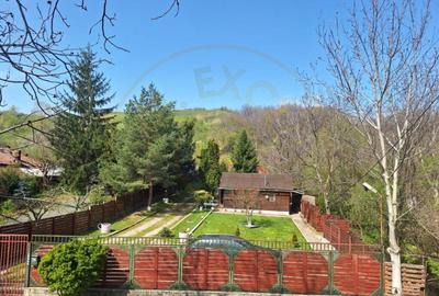 CASA DE VACANTA - UN MIC COLT DE RAI , STEFANESTI, ARGES CASA DE VACANTA - UN MIC COLT DE RAI , STEFANESTI, ARGES - 1